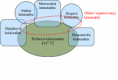 /album/fotogaleria/diagram-kriminalita-png/